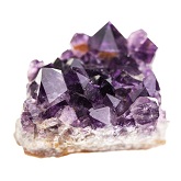 Mineral (für Vögel) Mineralstoffe für Vögel